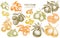 Citrus vintage illustrations collection. Hand drawn logo designs with kumquat, lemon, tangelo, grapefruit, orange, lime