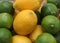 Citruses: lime and lemon