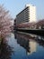 City building reflection in spring