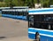 City buses / Public transport