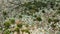 City cemetery in Manila, view from above. Old cemetery with residential buildings.