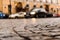 City central square paved with stone after a rain on which riding cars.