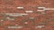 city chic: red brick texture with mossy accents. ai generate