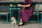 City coffee with pet. Elegant stylish woman in purple dress having coffee in street cafe. Cute dog sitting under the table