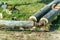 City district heating pipes with insulation welded together for new hot water pipeline system close up selective focus