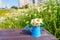 City Escape: Daisy-filled Miniature Watering Can