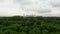 City Forest Skyline aerial view