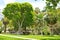 City of Hamilton, Bermuda - July 10, 2014: Victoria Park nature in City of Hamilton,Bermuda.