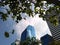 City landscape and landmark with blue sky cloud tree foreground