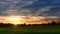 City landscape view sunset over rice field plantation farming with house and telecom