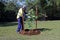 City landscaper worker planting a new tree in a public park