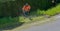 City maintenance worker cutting weed on the road shoulder with a strimmer