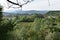 City and mountains viewed from the forest