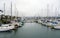 City of Oxnard Marina