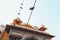 City palace gate with some pigeons around it in Jaipur, India