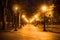 City park alley, bench, trees and lanterns.