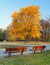 City park in autumn - Bratislava