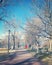 City park on cold February day in Kelowna, BC Canada. Tree lined paved pathway and lamppost in foreground.