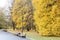 City park in the fall. Benches in the autumn park