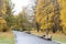 City park in the fall. Benches in the autumn park