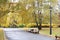 City park in the fall. Benches in the autumn park