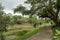 City park in Kuching, Malaysia, tropical garden with large trees and lawns, path, lake