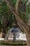 City park in Marsala with old large ficus banyan trees for shadow in summer time, Italy