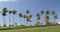 City park path in nice beautiful neighborhood with palm trees - background