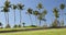 City park path in nice beautiful neighborhood with palm trees - background