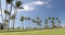 City park path in nice beautiful neighbourhood with palm trees - background