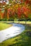 City park pathway curves through autumn landscape