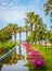 City park with a pond, palm trees and rhododendrons