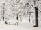 City park after snowfall. Trees covered with snow.