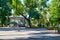 City park in summer, bright sunlit, green trees and shadows