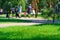 City park on a summer day, green lawns with grass and trees, paths and benches, people walking and children playing, bright