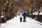 City Park in winter. A young family walks. Mom, dad and a stroller with a small child