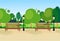 City park wooden bench street lamp green lawn trees template background flat