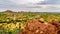 The city of Phoenix in the valley of the Sun seen from the Red Sandstone Buttes in Papago Park