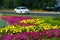 City photo, Flowerbeds in the city,   in the background motorway with cars, Russia Naberezhnye Chelny 18,08,2018g