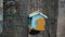 City pigeon flaps its wings on the roof of a bird house with a birdfeeder tied to a tree trunk. Early cold spring. Bark background