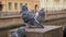 City pigeons are sitting on fence of embankment in town in daytime