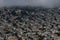 City of San Francisco Foggy Hills 4