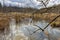 City Sigulda, Latvia. Old trees and water. Travel photo