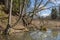 City Sigulda, Latvia. Old trees and water. Travel photo