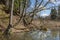 City Sigulda, Latvia. Old trees and water. Travel photo