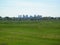 City Skyline from Belle Isle Park