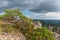 The city of stones, within Grands Causses Regional Natural Park, listed natural site with Dourbie Gorges at bottom