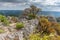 The city of stones, within Grands Causses Regional Natural Park, listed natural site with Dourbie Gorges at bottom