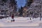 City street in winter, snow-covered trees, cyclist in motion.