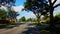 City Suburb Light Intersection With Driving Traffic in Summer.  Urban Suburban Vehicles Drive Through Traffic Light Intersection